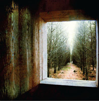 Bon Iver "Wisconsin"