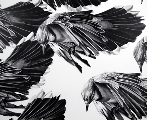 Christina Empedocles