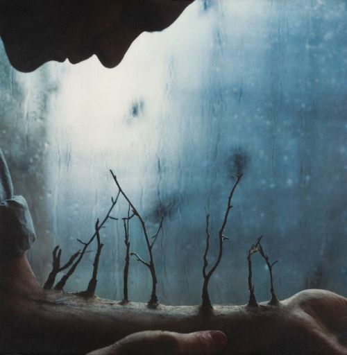 Robert and Shana Parkeharrison