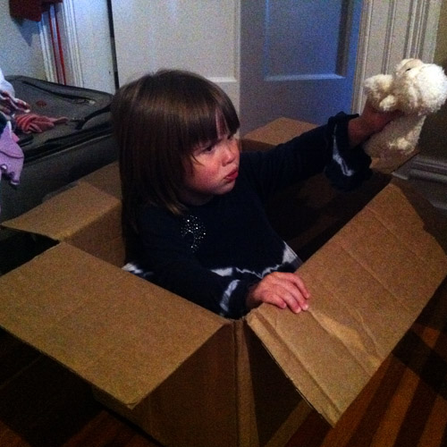 Adventures of Rose: Star-Spangled Sprinter