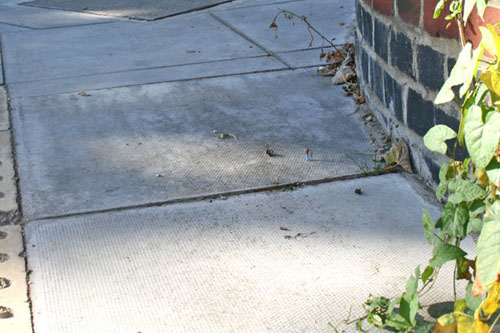 Slinkachu, Little People