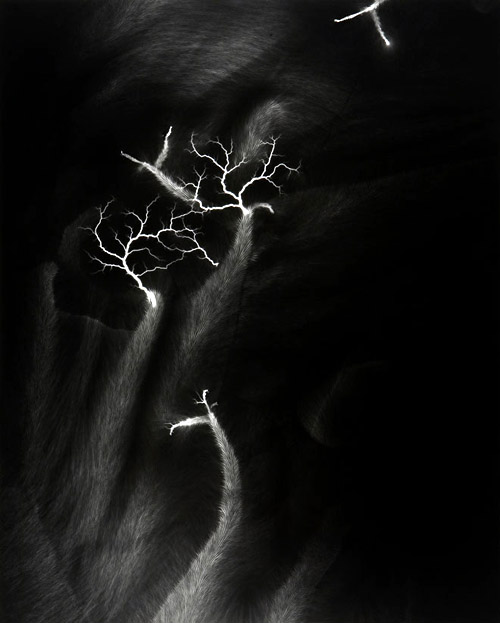 Hiroshi Sugimoto
