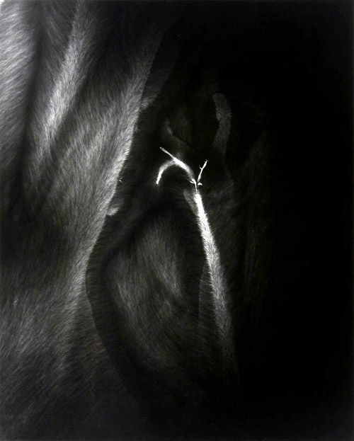 Hiroshi Sugimoto