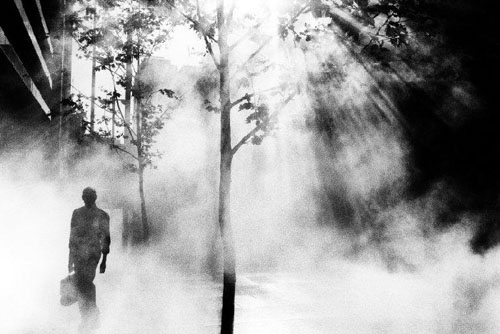 Trent Parke